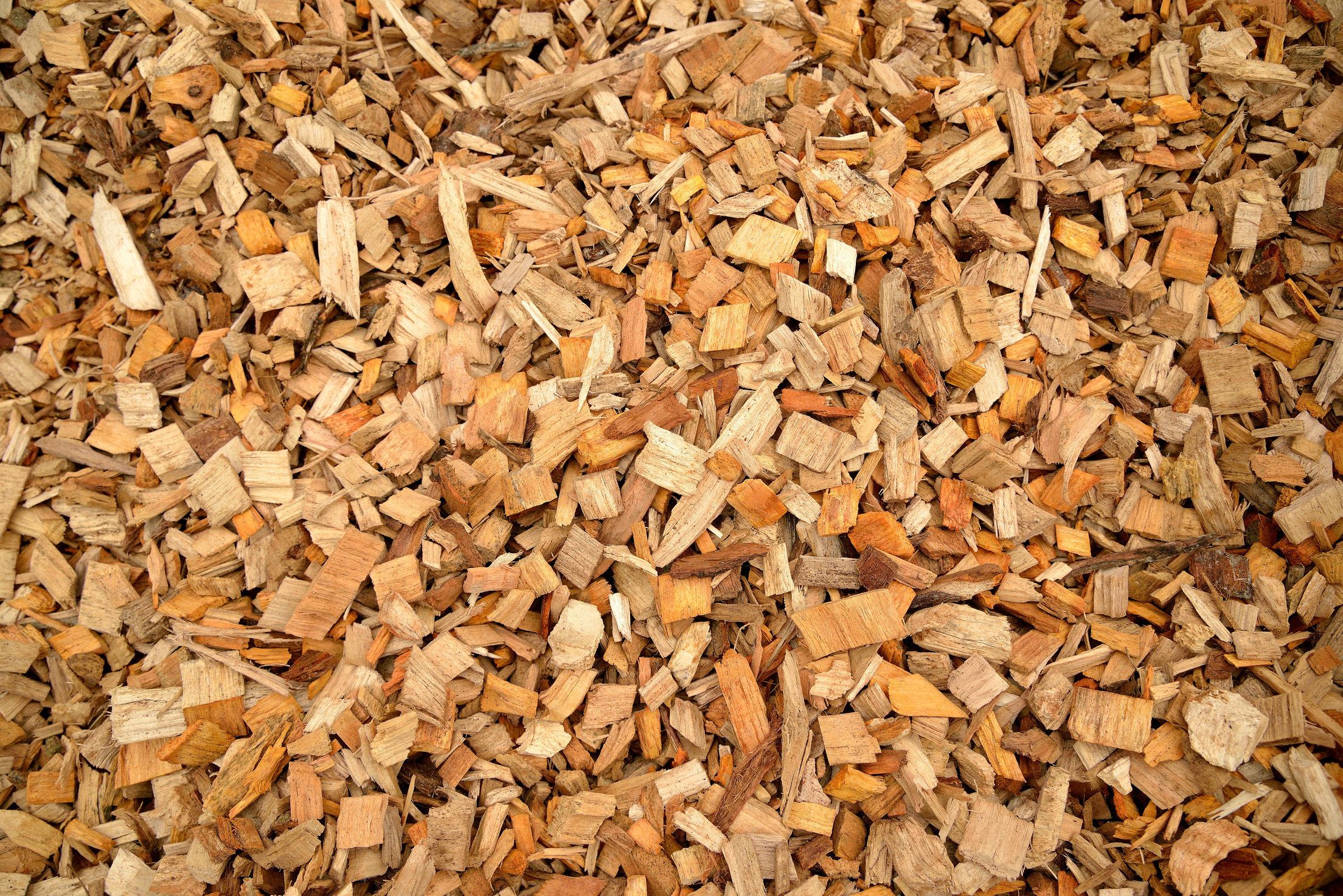 Woodchip